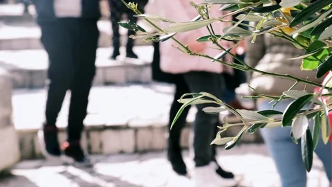 People walking down the stairs at the background. Out of focus Stock Footage 240914329