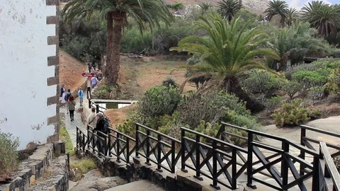 People walking down steps next to gardens Stock Footage 84930836