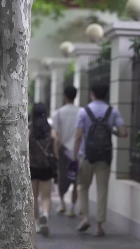 People Walking Down Tree-Lined Urban Sidewalk in Soft Focus Stock Footage 326598854