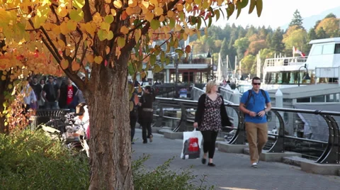 People walking in the fall 01 Stock Footage 30119579