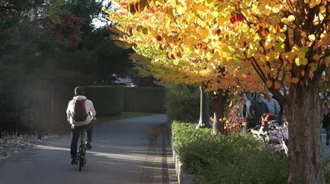 People walking in the fall 02 動画素材 30119604