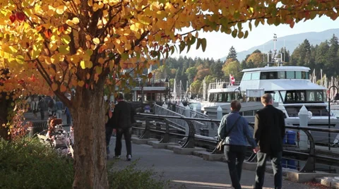 People walking in the fall 03 Stock Footage 30119708