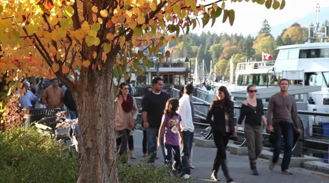 People walking in the fall 04 動画素材 30119710