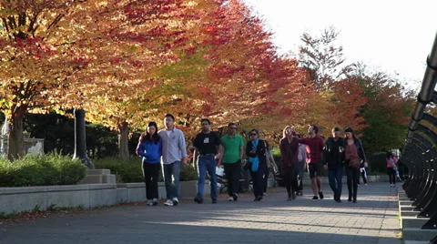 People walking in the fall 05 Stock Footage 30119931
