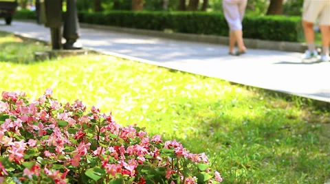 People walking - fast forward Stock Footage 33387247