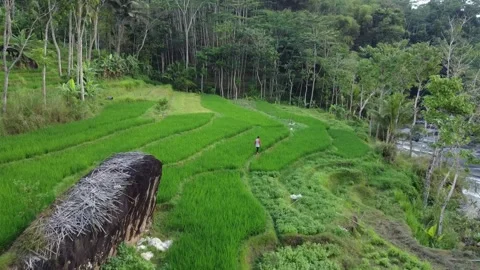 People walking in the fields Stock Footage 196069534