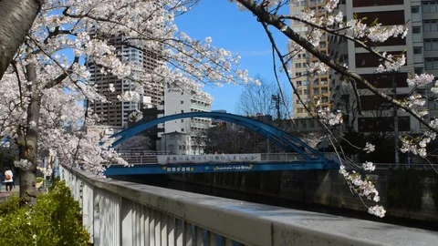 People walking on foot bridge in a spring morning 動画素材 127034989