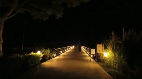 People walking on a Footbridge at night Stock-Footage 53401932