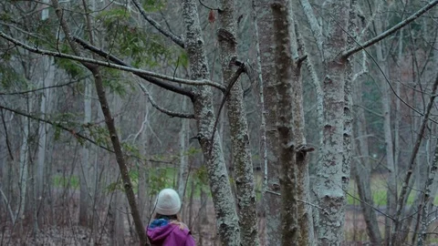 People walking in the forest Video stock 94884983