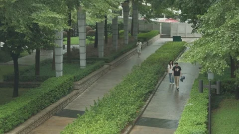People Walking on a Forest Path .Shot in Shenzhen, China on September 20, 2025 Stock Footage 317476079