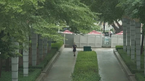 People Walking on a Forest Path .Shot in Shenzhen, China on September 20, 2025 스톡 동영상 317476786