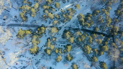 People walking on forest paths in winter park, drone top view. Beautiful forest 스톡 동영상 171289167