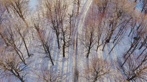 People walking on forest trail covered with snow. AERIAL above winter mountain. Stock-Footage 97014201