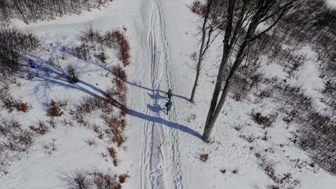 People walking forest trail winter mountain forest covered with snow wilderness Stock-Footage 97789779