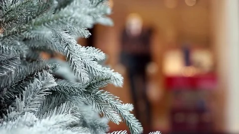 People walking in front of store window Stock Footage 73811603