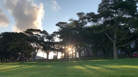 People walking grass sunset Stock Footage 119985599