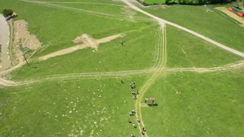 People walking in group through nature reserve Zasavica in Serbia in sunny day Stock Footage 263142153
