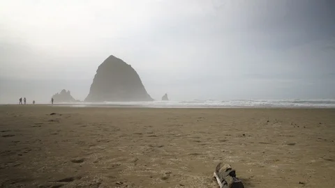 People Walking at Haystack Rock Oregon Uncolored 2 库存影片 102416151