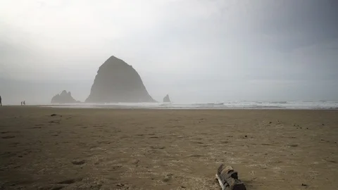 People Walking at Haystack Rock Oregon Uncolored 库存影片 102416399