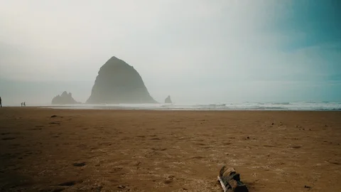 People Walking at Haystack Rock Oregon Stock Footage 102416416