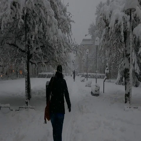 People walking in heavy snow inside a park man playing with snow - bad weather Stock Footage 69553979