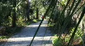 People Walking On Hiking Trail HD Footage