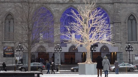 People walking by a lightened tree in winter Stock Footage 123178141