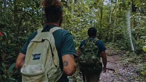 People walking in a line on a rainforest path during a hike across the lush v Stock Footage 97929297