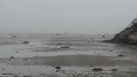 People walking at low tide in Bic park on a very foggy day. Stock Footage 81786836