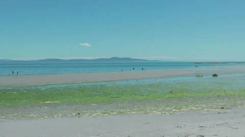 People walking on low tide sandy beach at Cordova Bay Beach Canada 動画素材 337305522