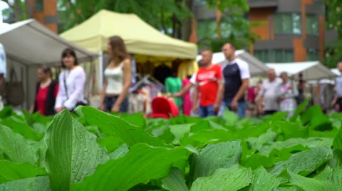 People walking in a mart Stock Footage 64123490