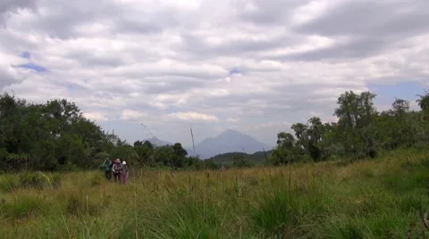 People walking on the meadow, Uganda Stock Footage 44323791
