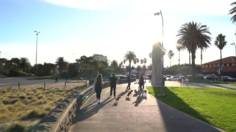 People walking in Melbourne coastline path with tropical elements Stock Footage 156009901
