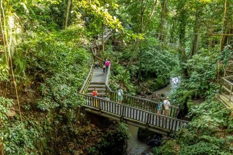 People walking in the Monkey Forest Ubud, Bali, Indonesia 写真素材