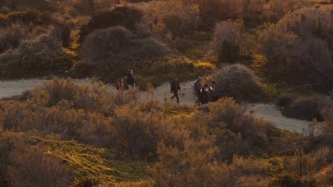 People walking in nature Stock Footage 73912778