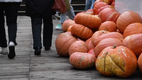 People walking by orange pumpkins Stock Footage 287742702