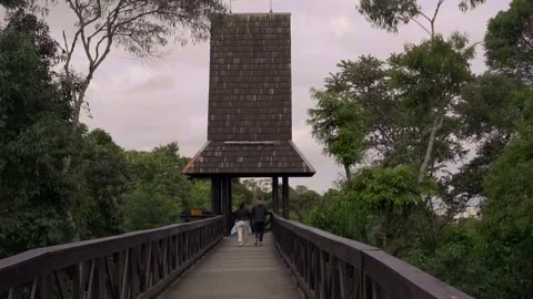 People walking at outdoors Video stock 276446293