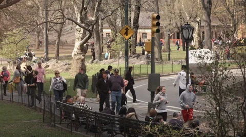 People walking outside Central Park. 스톡 동영상 44162864