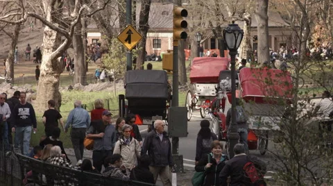 People walking outside Central Park. New York, USA. Video stock 44182947