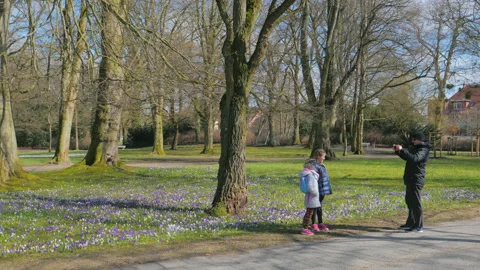 People walking in the park, Flowering crocus. Father taking pictures of children 库存影片 88196318