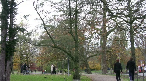 People walking in a park. Video stock 108304