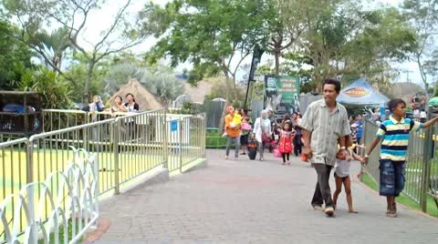 People Walking in The Park Stock Footage 8848450