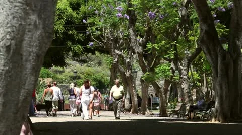 People Walking In A Park Stock Footage 11337252