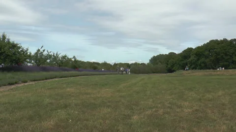 People walking in a park Stock Footage 24805939