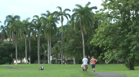 People walking in park. Video stock 25845632