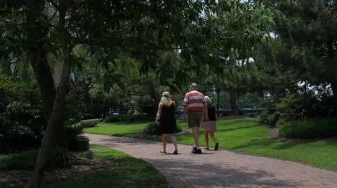 People walking in park Stock Footage 52995751