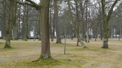 People walking in the park Video stock 88700141