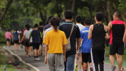 People Walking in a Park Stock Footage 91217429