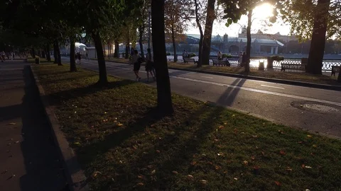 People walking in park Stock Footage 116049155