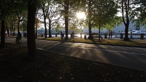 People walking in park Vídeo Stock 116049161